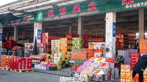 658畝大型商業地塊亮相，揚州這一區域展現農副產品流通新野心